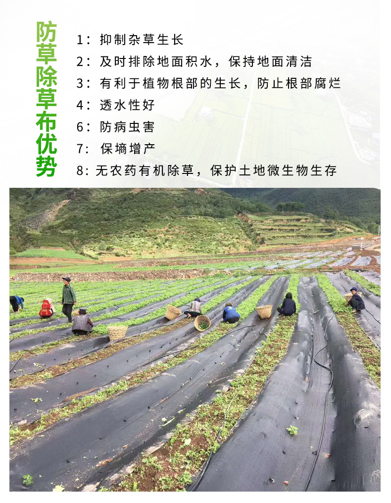 厂家批发除草布防尘布园林地布PP黑色针织加厚加密除草布一件代发详情18