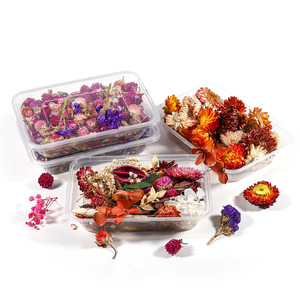 浮游花 干花 永生花 情人节七夕礼物diy团扇制作压花云南干花批发详情26