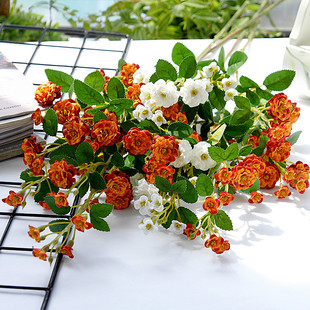 仿真花蝴蝶兰单枝欧美10头蝴蝶兰家居摆放婚庆软装摄影装饰花兰花详情14