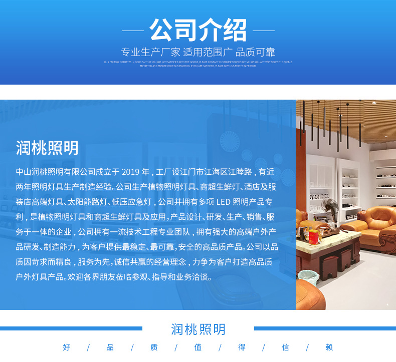 Angel Ring Plant Growth Lamp Telescopic pole full-spectrum USB timed dimming succulent bonsai plant supplementary light pic 50