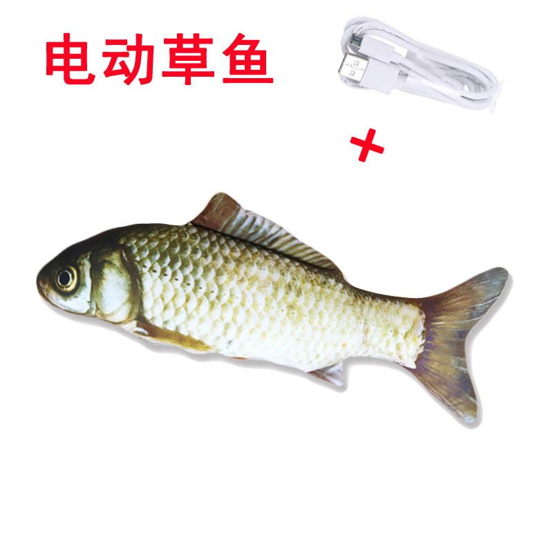 电动草鱼.jpg