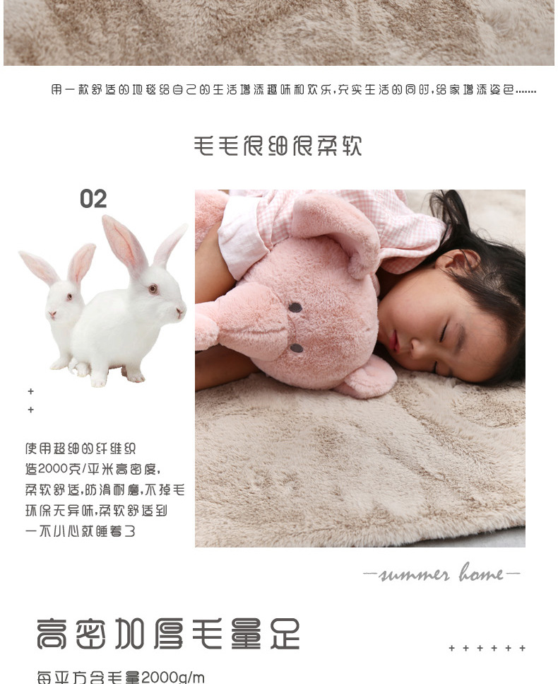 外贸跨境北欧风仿兔毛绒地毯客厅卧室门厅加厚家用地垫床边毯ins风地垫地毯详情5