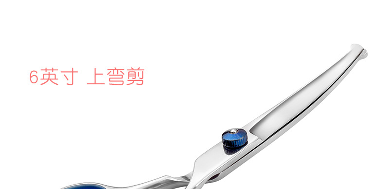 6-inch Teddy dog hair clippers, professional pet scissors, cleaning and grooming tools set manufacturer, scissors supplies pic 11