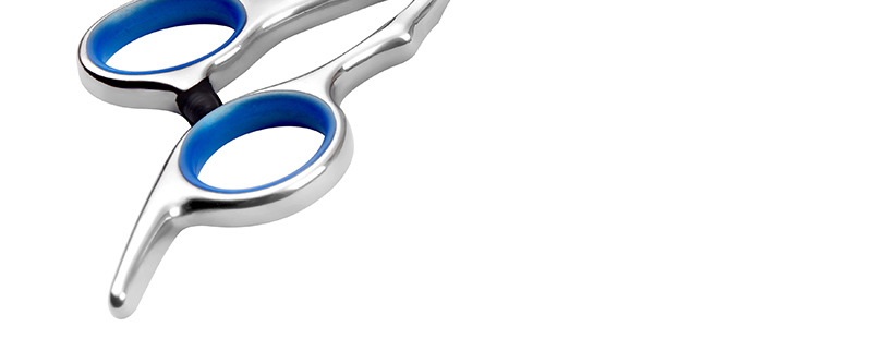 6-inch Teddy dog hair clippers, professional pet scissors, cleaning and grooming tools set manufacturer, scissors supplies pic 12