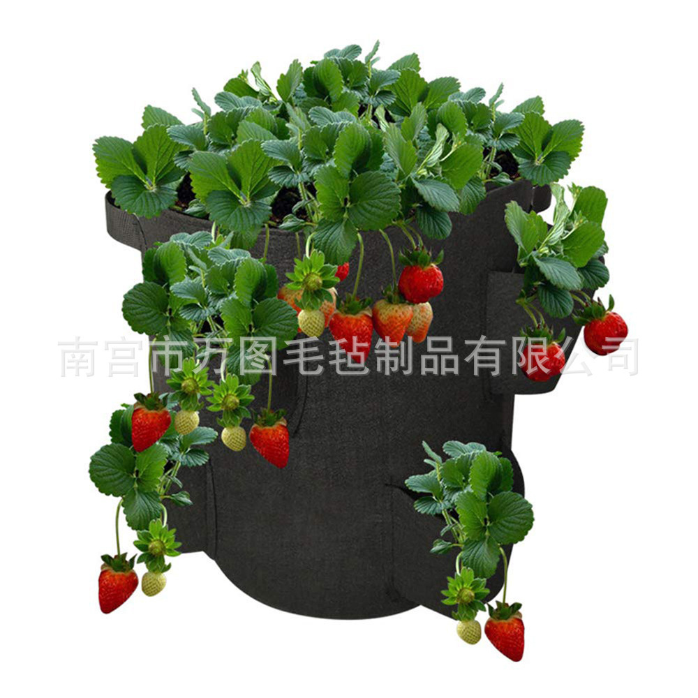 彩色种植袋多口蔬菜草莓种植袋ebay3/ 6/8口植物袋毛毡布香草袋详情6