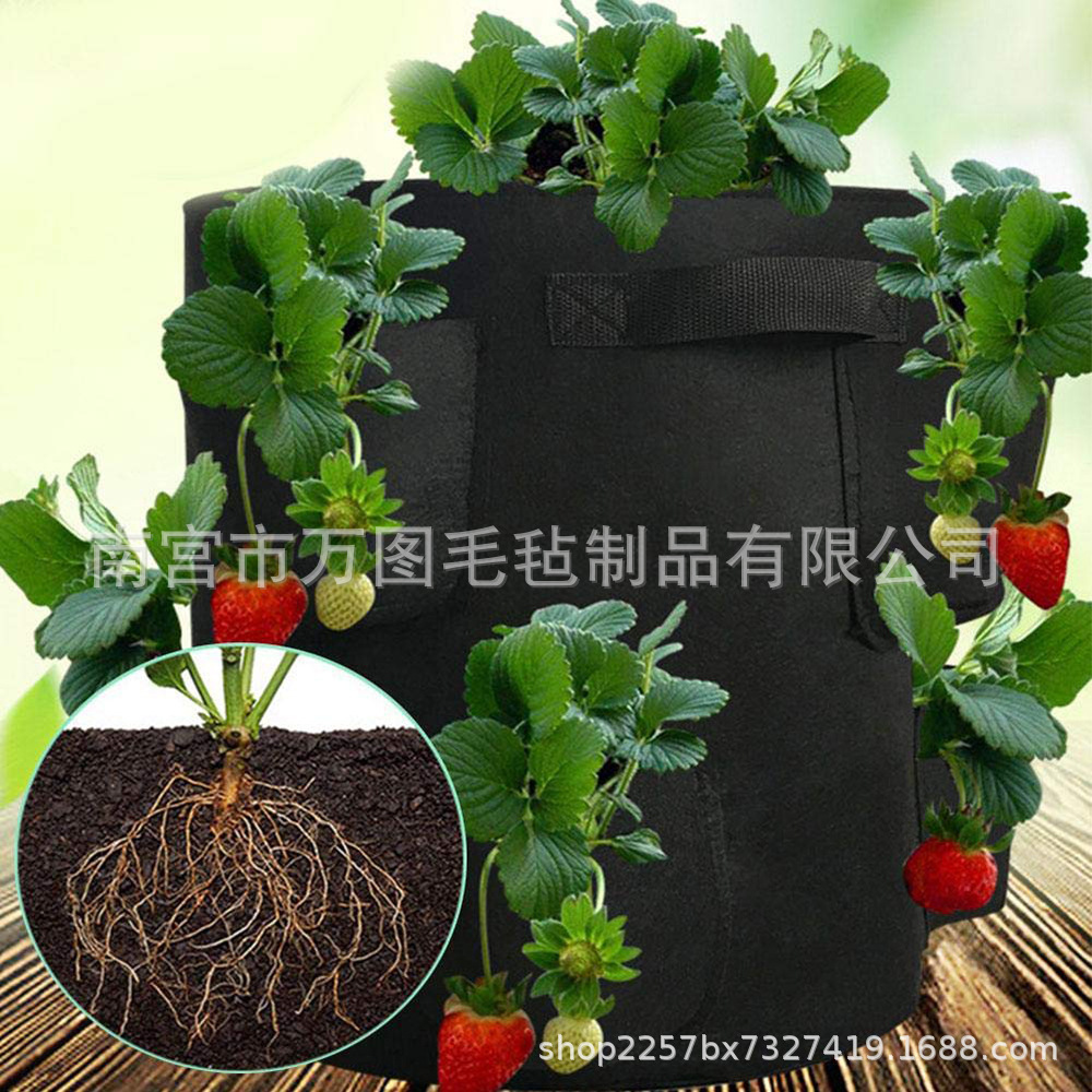 彩色种植袋多口蔬菜草莓种植袋ebay3/ 6/8口植物袋毛毡布香草袋详情7