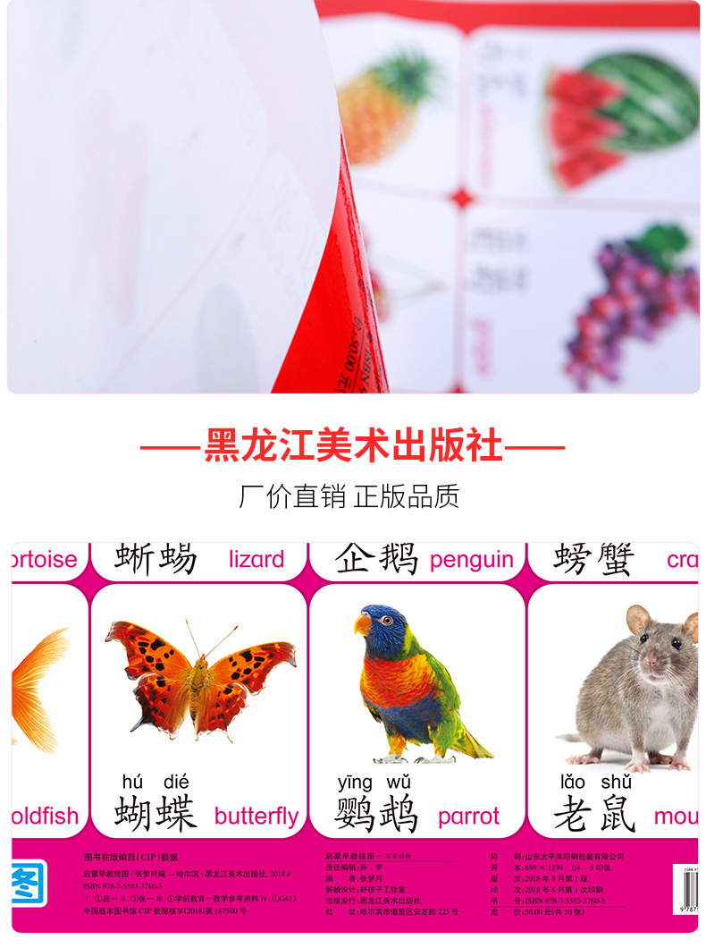 宝宝识字挂图幼儿童早教0-3岁墙贴认知婴儿启蒙拼音无声卡片益智详情8