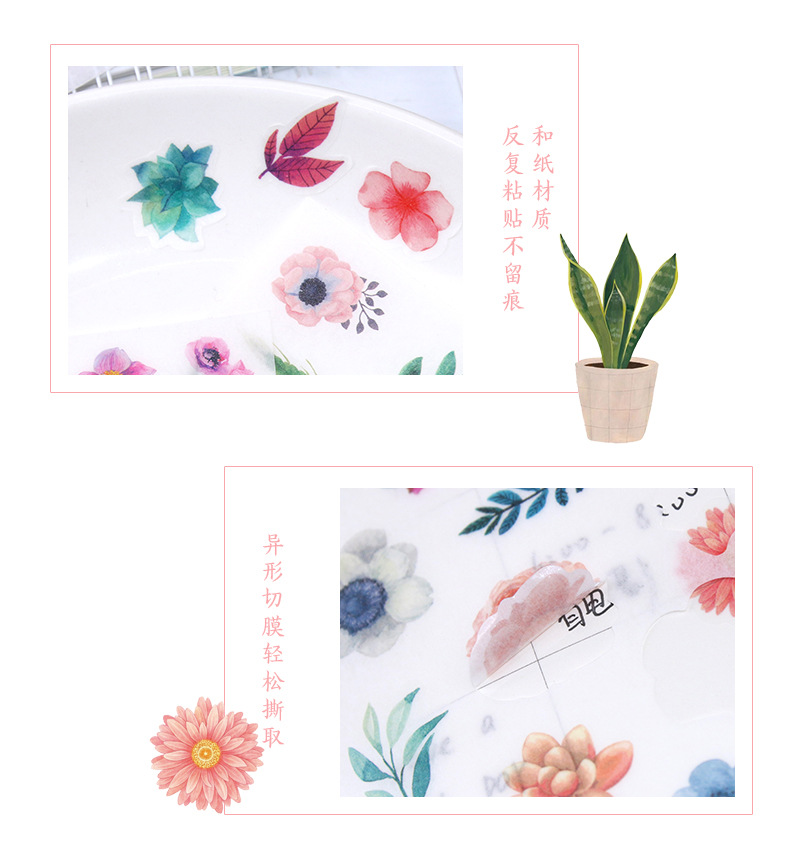 原创创意手账贴艳丽彩色花朵植物水彩清新素材和纸贴纸6张入详情12