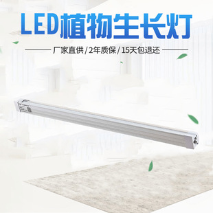 Angel Ring Plant Growth Lamp Telescopic pole full-spectrum USB timed dimming succulent bonsai plant supplementary light pic 10