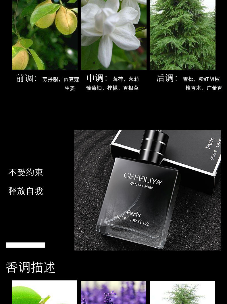 爆款格斐利亚绅士男士香水持久淡香海洋香调蔚蓝古龙批发爆款推荐详情13