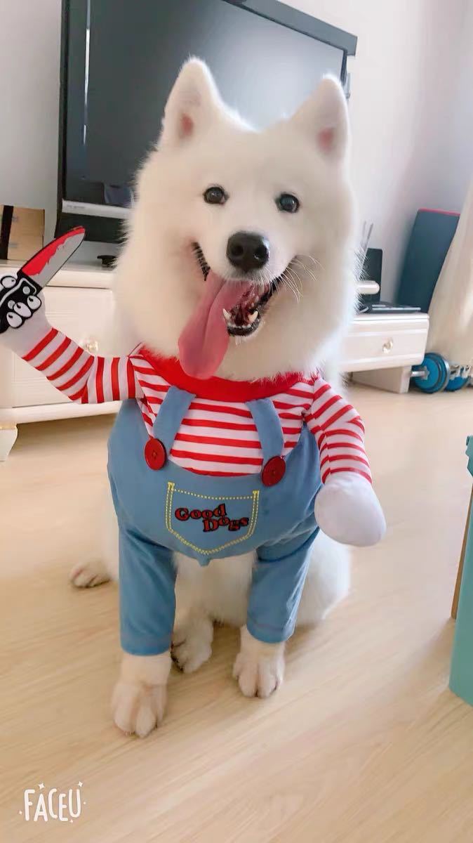 Halloween Amazon knife dolls, small and medium-sized dogs, funny transformation into cats, pet clothing and supplies pic 5