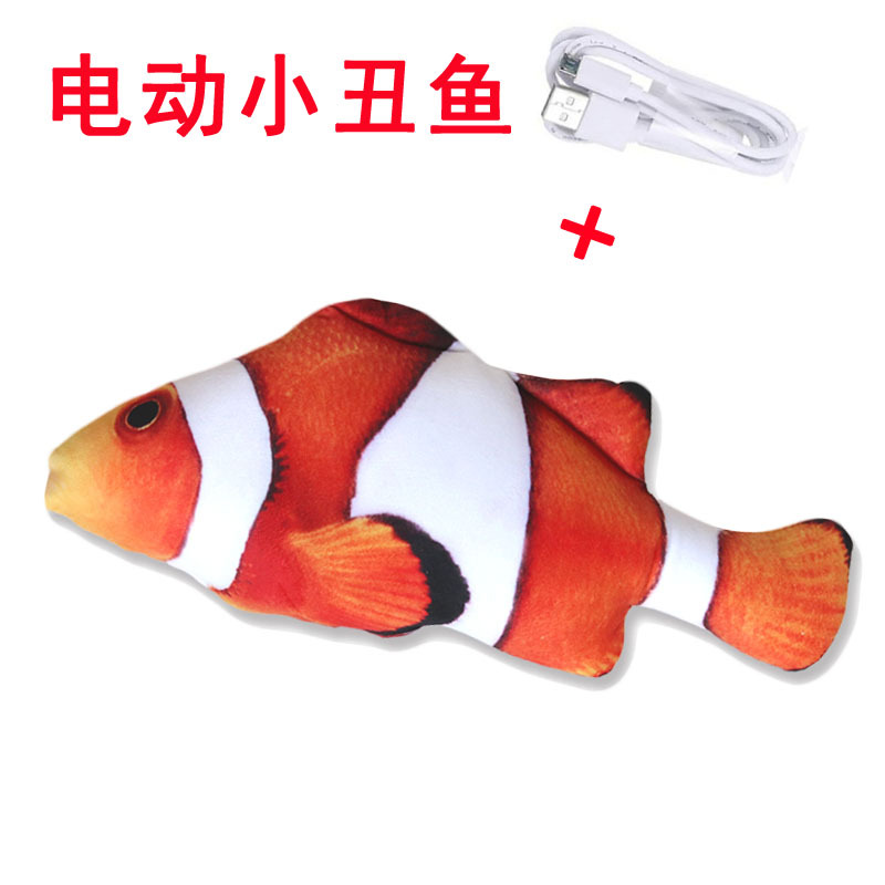 电动小丑鱼.jpg