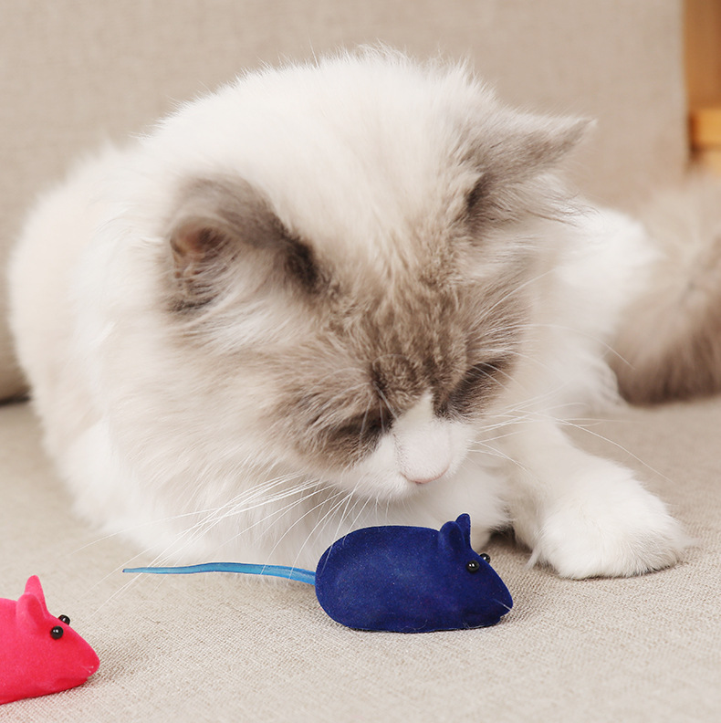 Pet rising toy pet little mouse rising toy cat juguetes juguetes para mascotas venta al por mayor pic 24