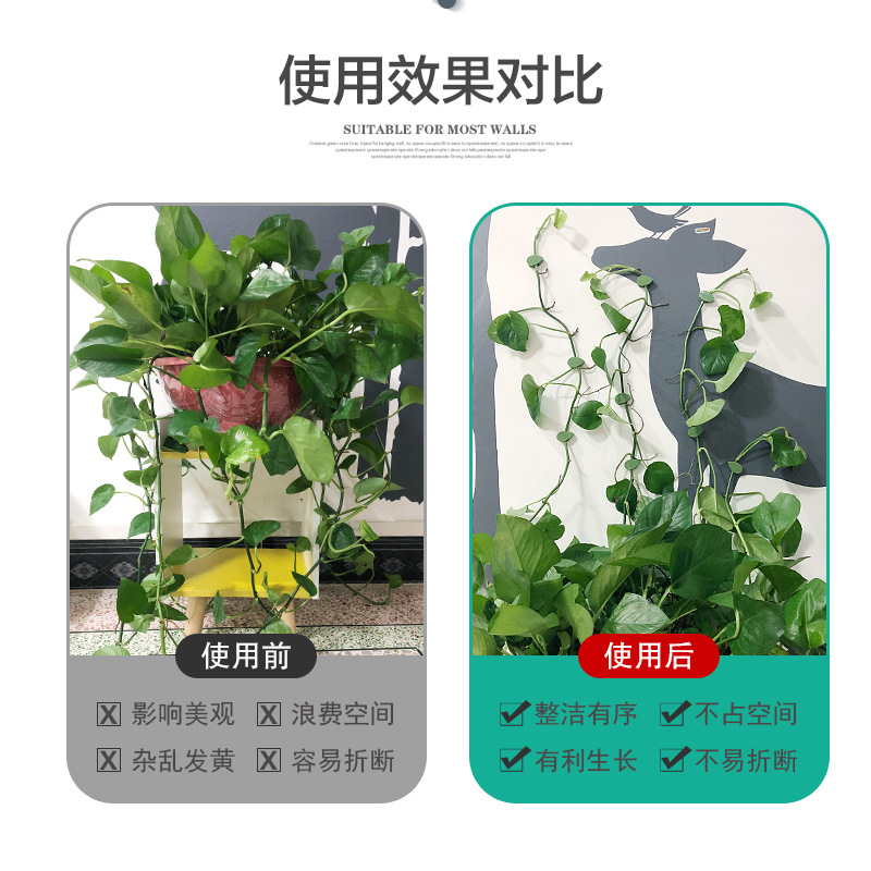 主图6.jpg