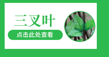 Artificial fence, retractable fence, artificial flowers and green leaves, outdoor courtyard fence, guardrail, decorative leaves to shield plants pic 5