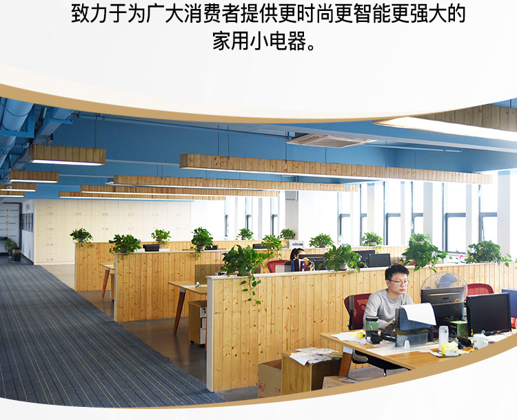 DSP/丹松电动女士脱毛器腋毛腿毛脱毛仪剃二合一磨脚器拔毛详情4