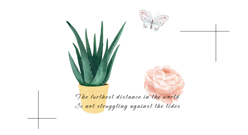 原创创意手账贴艳丽彩色花朵植物水彩清新素材和纸贴纸6张入详情9