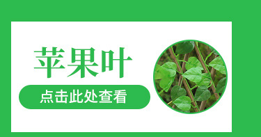 Artificial fence, retractable fence, artificial flowers and green leaves, outdoor courtyard fence, guardrail, decorative leaves to shield plants pic 3