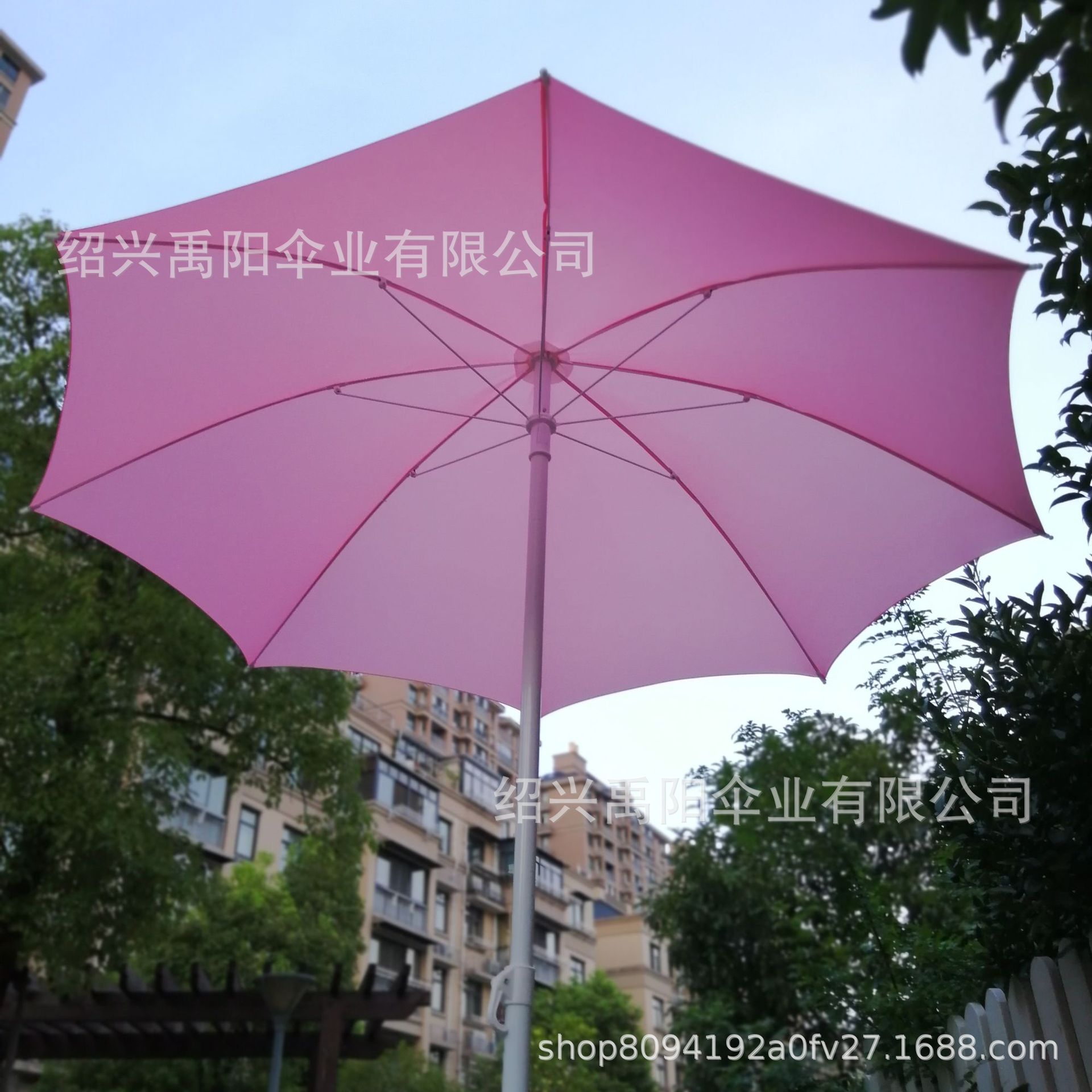 IMG_20190723_185502.jpg