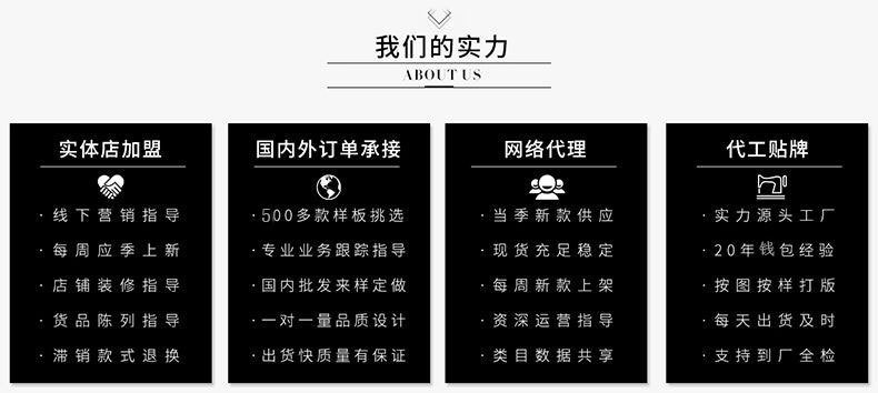 包包女高级感2024跨境外贸斜挎包大容量新款老花时尚气质百搭小包详情2