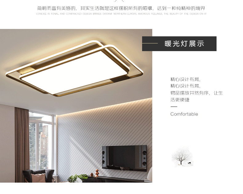 Wholesale led ceiling lights: simple, modern and elegant. New model of home bedroom and living room lights in 2025, rectangular shape pic 3