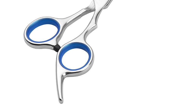 6-inch Teddy dog hair clippers, professional pet scissors, cleaning and grooming tools set manufacturer, scissors supplies pic 14