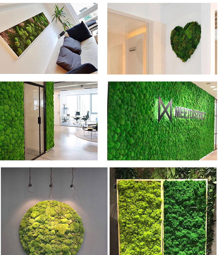 Musgo inmortal musgo falso planta decoración de paredes hecho a mano accesorios florales musgo artificial musgo simulado pic 14