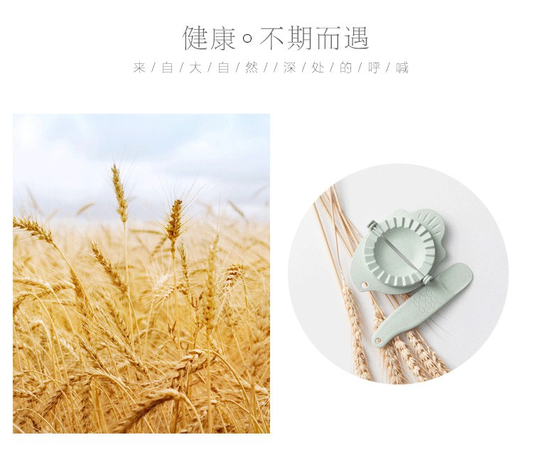 T Z6150 Wheat-colored dumpling mold filling spoon set, wall-mounted kitchen dumpling maker pic 2