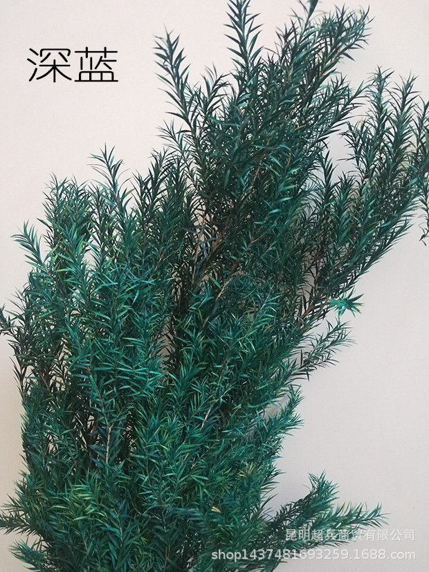 IMG20201124112623.jpg