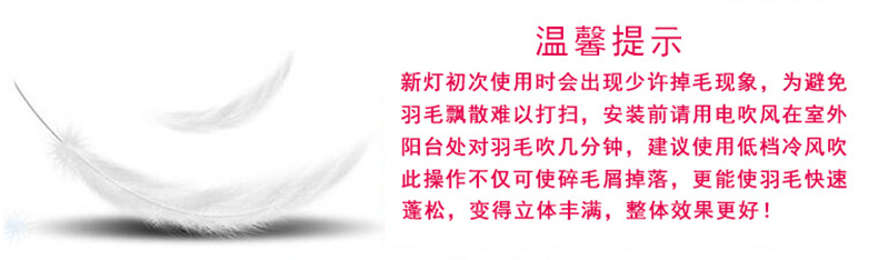 北欧民宿轻奢羽毛台灯卧室床头灯高级感创意礼物小夜灯装饰氛围灯详情4