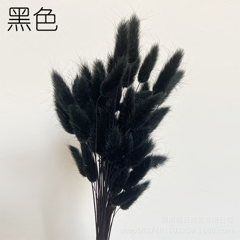 QQ图片20201111145250.jpg