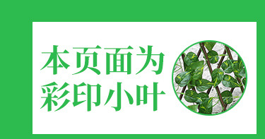 Artificial fence, retractable fence, artificial flowers and green leaves, outdoor courtyard fence, guardrail, decorative leaves to shield plants pic 2
