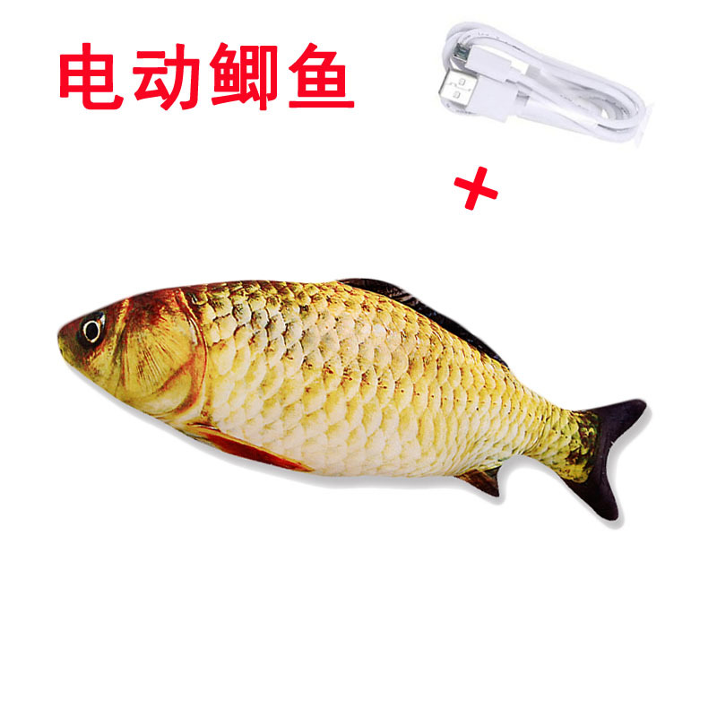 电动鲫鱼.jpg