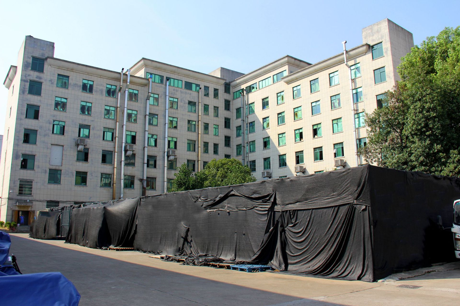 虹雨加厚卡通动物儿童充气泳圈环保透明水上玩具厂家批发运动户外游泳用品详情10