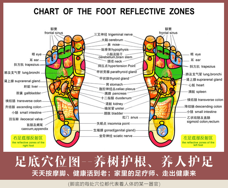 Cross-border foreign trade thorny massage slippers, foot sole acupoint bagua shoes, household daily use, summer couple manufacturer P52 pic 6