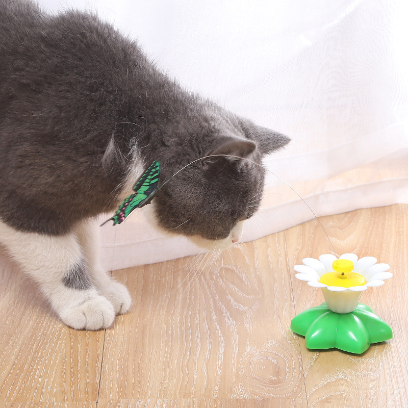 厂家现货批发趣味智能自动旋转逗猫器 飞舞小鸟蝴蝶绕鲜花猫玩具详情45