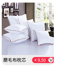 Pillow core 50*50, frosted fabric, pillow core, cushion core, waist pillow core, backrest core pic 10