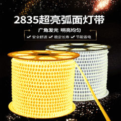 免驱动220v灯带 贴片2835/120珠10公分一剪自粘线槽led灯带批发详情4