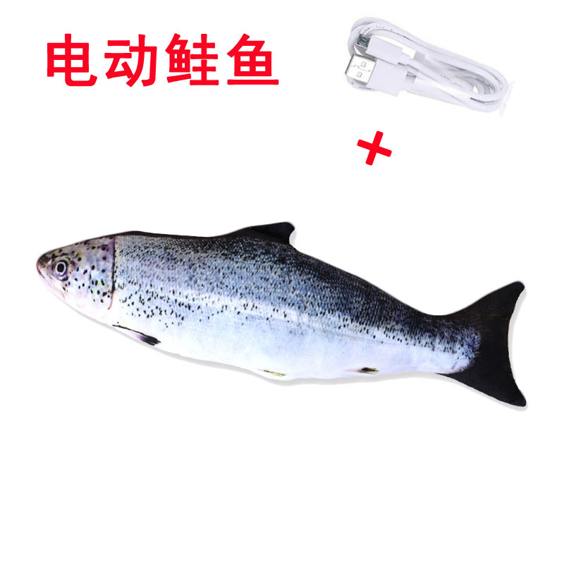 电动鲑鱼.jpg