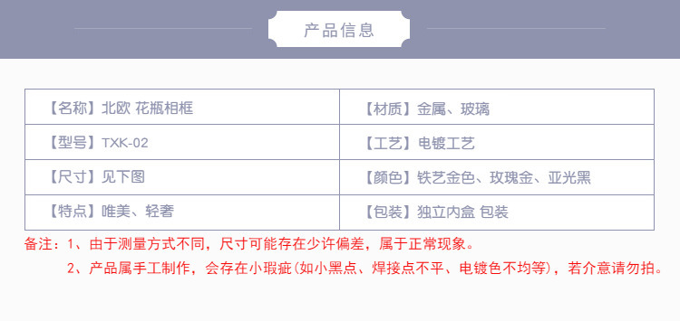 北欧ins风 铁艺相框摆件水培玻璃花瓶简约桌面装饰轻奢家居器批发详情18