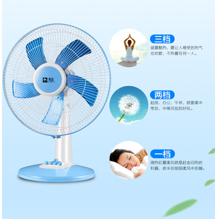 Camel Electric fan, 16-inch household fan, oscillating silent, student dormitory, timed oscillating pic 5