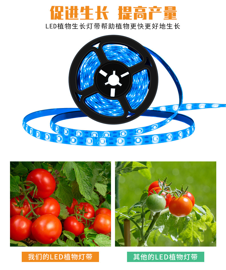 Cross-border best-selling led plant growth light strips, USB plant supplementary lights, full-spectrum indoor flower waterproof plant lights pic 6