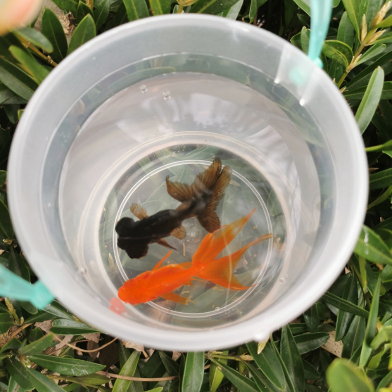 Factory direct sales of large, medium and small-sized portable plastic fish tanks, transparent turtle tanks, reptile pet breeding boxes pic 8
