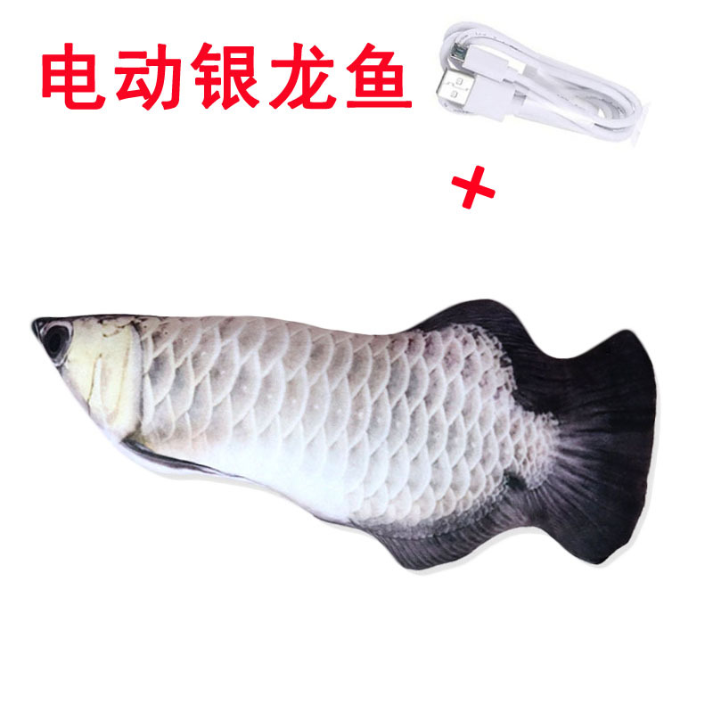 电动银龙鱼.jpg
