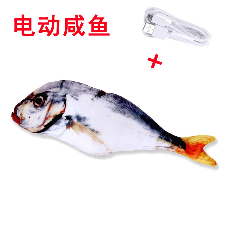 电动咸鱼