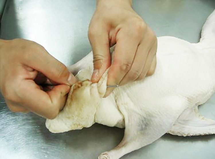 现货批发烤鸭缝尾针 不锈钢烧鸭针 封口叉烧鹅 带圈串卤鸭脖针详情11