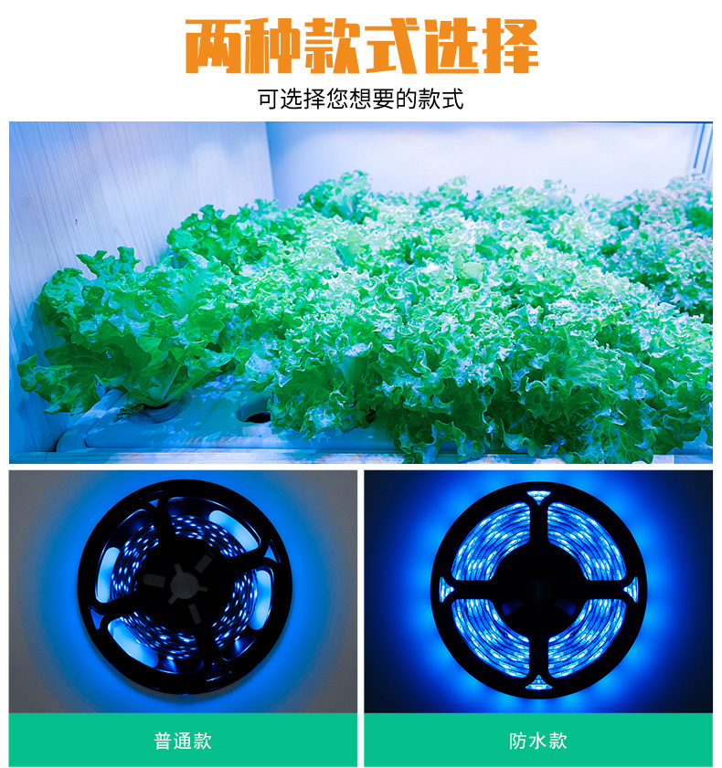 Cross-border best-selling led plant growth light strips, USB plant supplementary lights, full-spectrum indoor flower waterproof plant lights pic 3