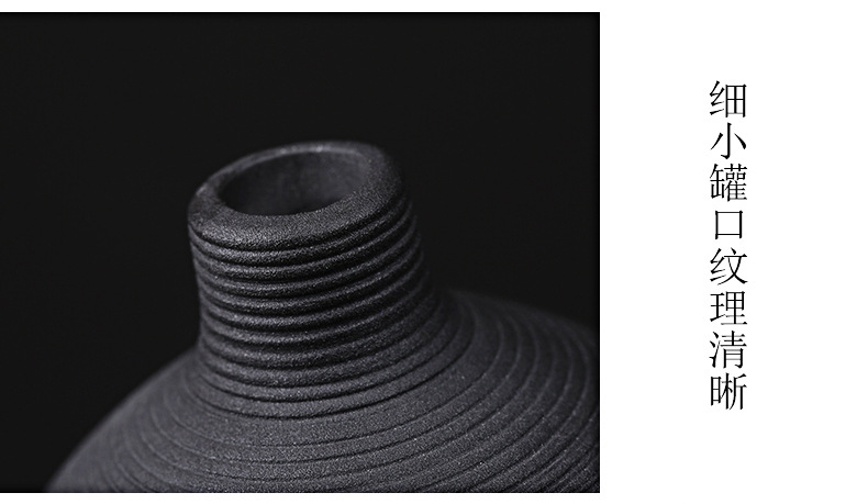 2026 Modern and simple ceramic vase, creative threaded Pothos hydroponic flower vase, Nordic home dried flower arrangement decorative item pic 11