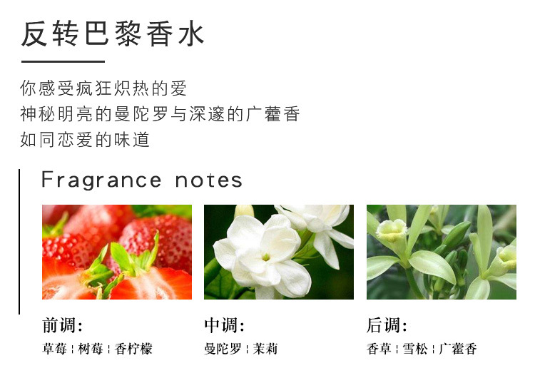 未标题-1_12.jpg