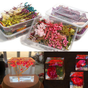 浮游花 干花 永生花 情人节七夕礼物diy团扇制作压花云南干花批发详情28